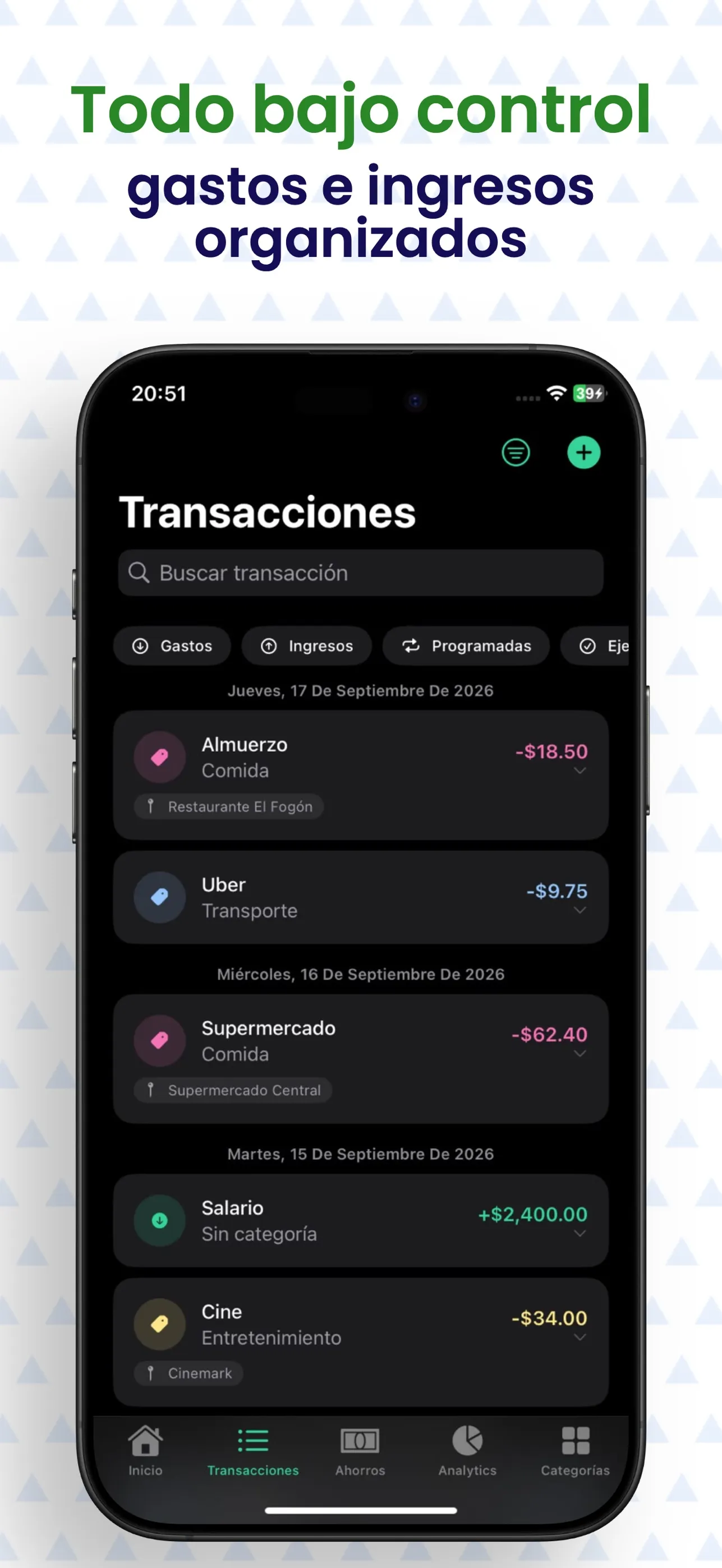 Lista de transacciones organizadas por categoría